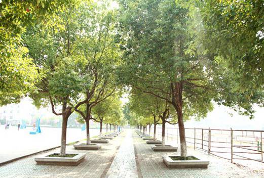 江西中醫(yī)藥高等?？茖W(xué)校