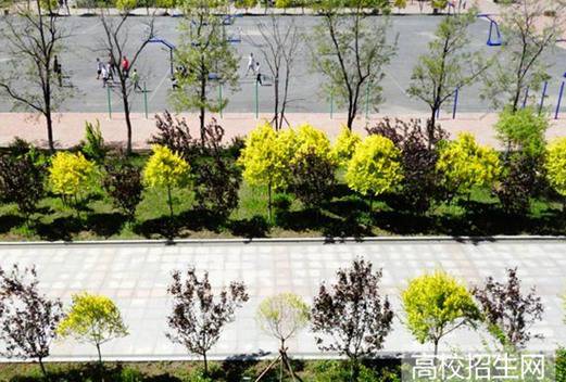 吉林科技職業(yè)技術(shù)學院