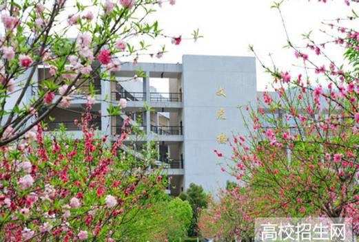 龍巖學(xué)院附屬中學(xué)