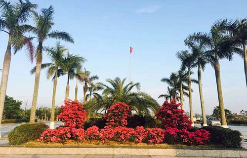 廈門東海職業(yè)技術(shù)學(xué)院