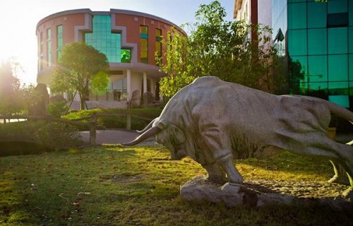 武夷山職業(yè)學(xué)院