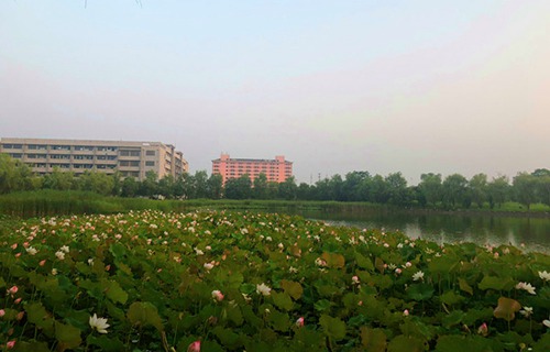 撫順礦務(wù)局衛(wèi)生學(xué)校