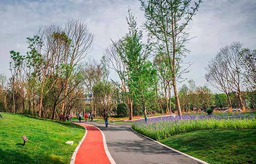 本溪市體育運動學校