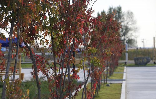 錦州鐵路司機(jī)學(xué)校