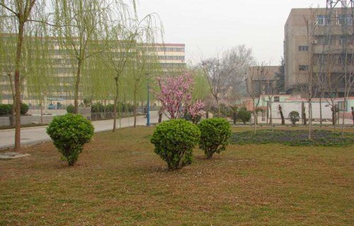 衡水卓越職業(yè)高級(jí)中學(xué)