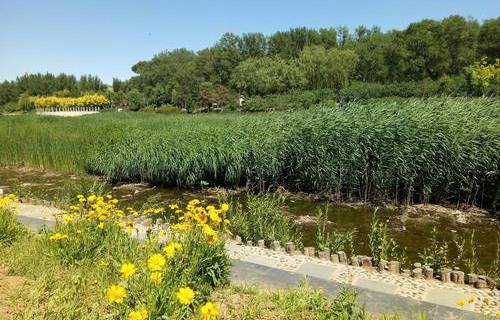 阜新市細河區(qū)職教中心