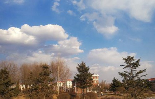 阜新市細河區(qū)職教中心