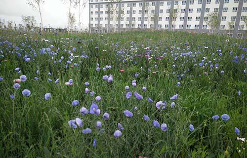 鐵嶺市涉外旅游學(xué)校