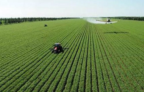 朝陽市農(nóng)業(yè)學(xué)校