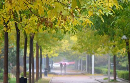 三河縣職教中心