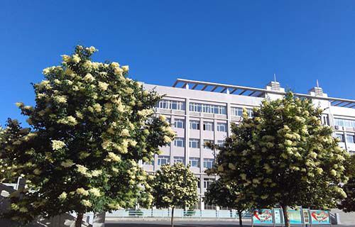 朝陽市財(cái)經(jīng)學(xué)校