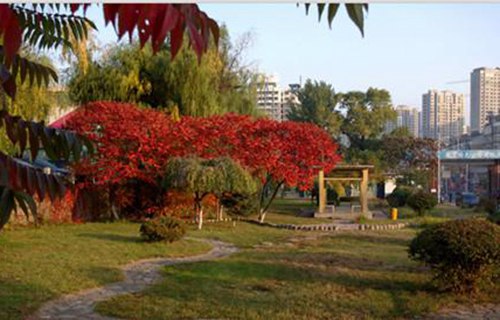 遼寧冶金職業(yè)技術(shù)學院