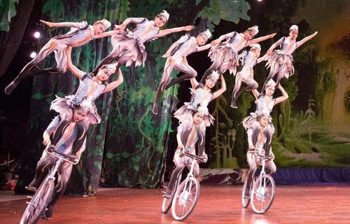 河北吳橋雜技藝術(shù)學(xué)校