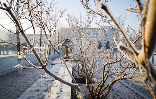 遼寧石化職業(yè)技術(shù)學(xué)院