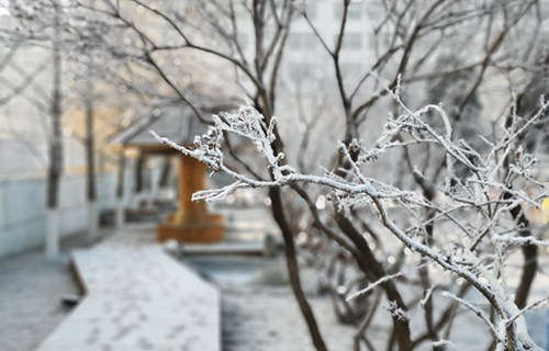 遼寧石化職業(yè)技術(shù)學(xué)院