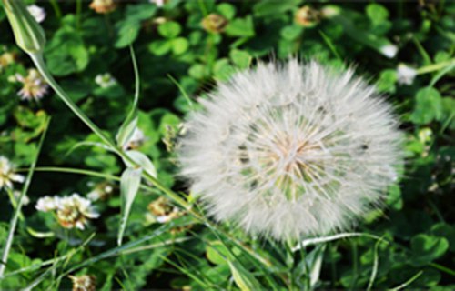 遼寧交通高等?？茖W(xué)校