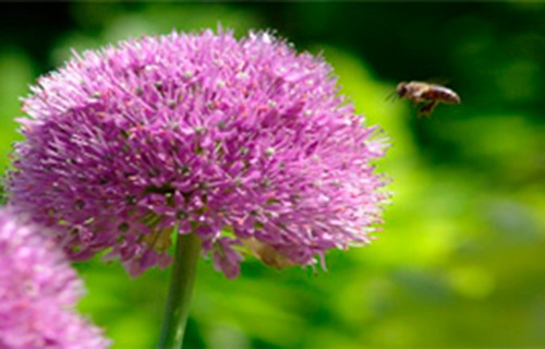 遼寧交通高等?？茖W(xué)校