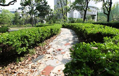 石家莊文化傳媒學(xué)校