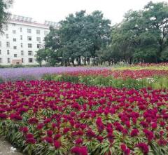 張家口正大新能源中等職業(yè)學校