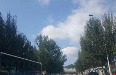 大連市金州區(qū)職教中心