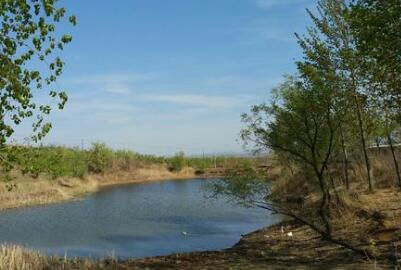 遼寧文化藝術學校