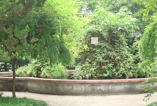 咸陽(yáng)師范學(xué)院附屬中學(xué)