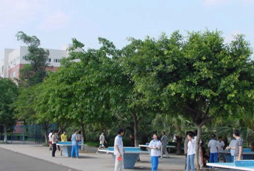 陜西能源職業(yè)技術(shù)學(xué)院