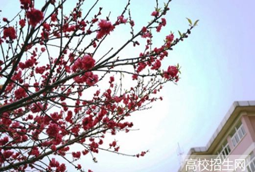 青海畜牧獸醫(yī)職業(yè)技術(shù)學(xué)院