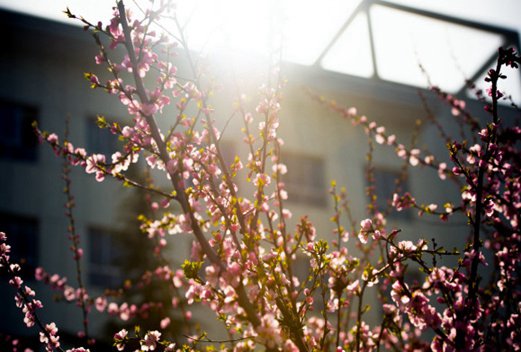 慶陽職業(yè)技術學院