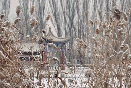 酒泉職業(yè)技術(shù)學(xué)院