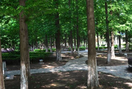 青海交通職業(yè)技術(shù)學(xué)院