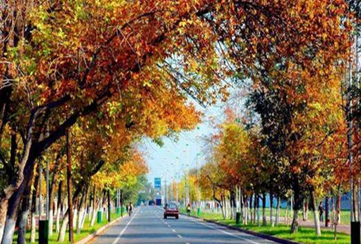 伊寧衛(wèi)生學(xué)校