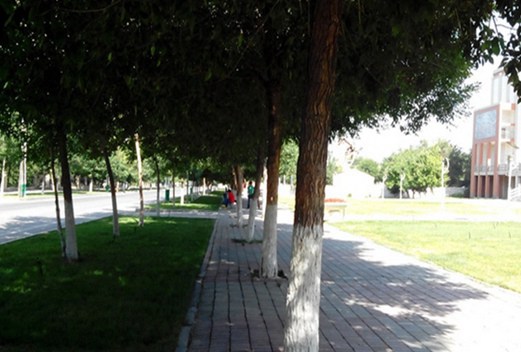 伊寧衛(wèi)生學(xué)校