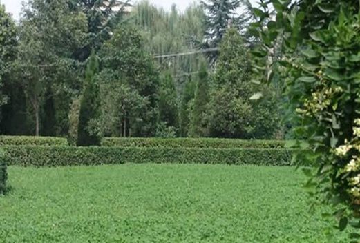 商洛職業(yè)技術(shù)學院