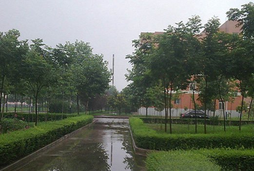 商洛職業(yè)技術(shù)學院