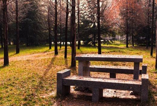 西北農林科技大學附屬中學