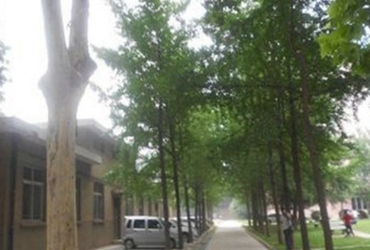 陜西航空職業(yè)技術(shù)學(xué)院