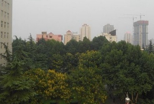 陜西職業(yè)技術學院