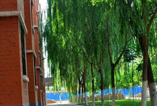 寧夏工商職業(yè)技術學院