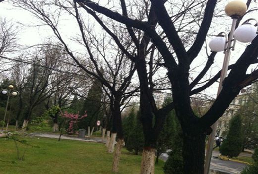 寧夏工商職業(yè)技術學院