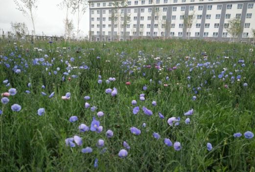 昌吉職業(yè)技術(shù)學(xué)院