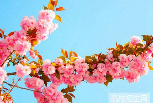 甘肅機(jī)電職業(yè)技術(shù)學(xué)院