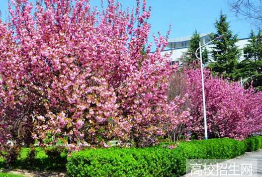 甘肅機(jī)電職業(yè)技術(shù)學(xué)院