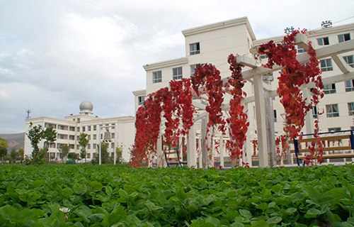 莊浪縣職教中心