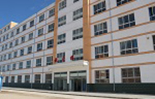 鎮(zhèn)原縣職業(yè)中等專業(yè)學校