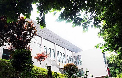 鎮(zhèn)寧民族職業(yè)技術(shù)中學