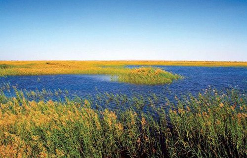 武威信息工程職業(yè)學(xué)校