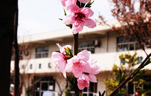 陜西省商務(wù)技術(shù)學(xué)校