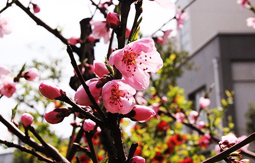 陜西省商務(wù)技術(shù)學(xué)校