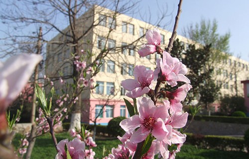 陜西長(zhǎng)城科技技術(shù)學(xué)校